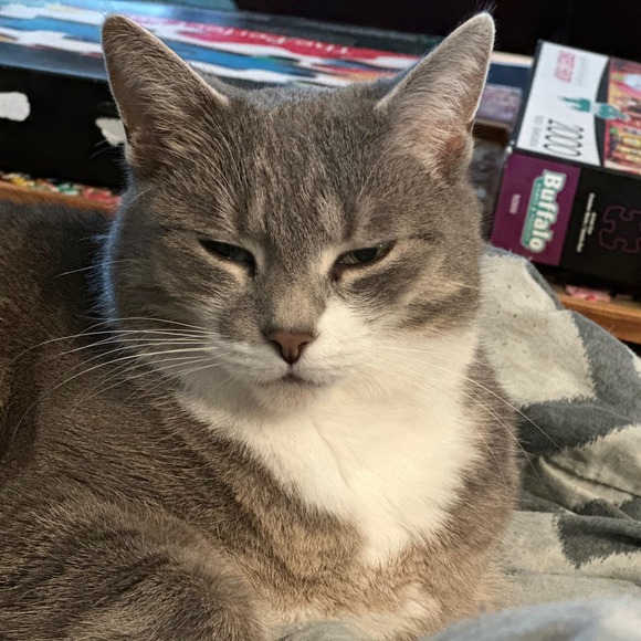 Meet your Posher, Jaime - Picture 1 of 1